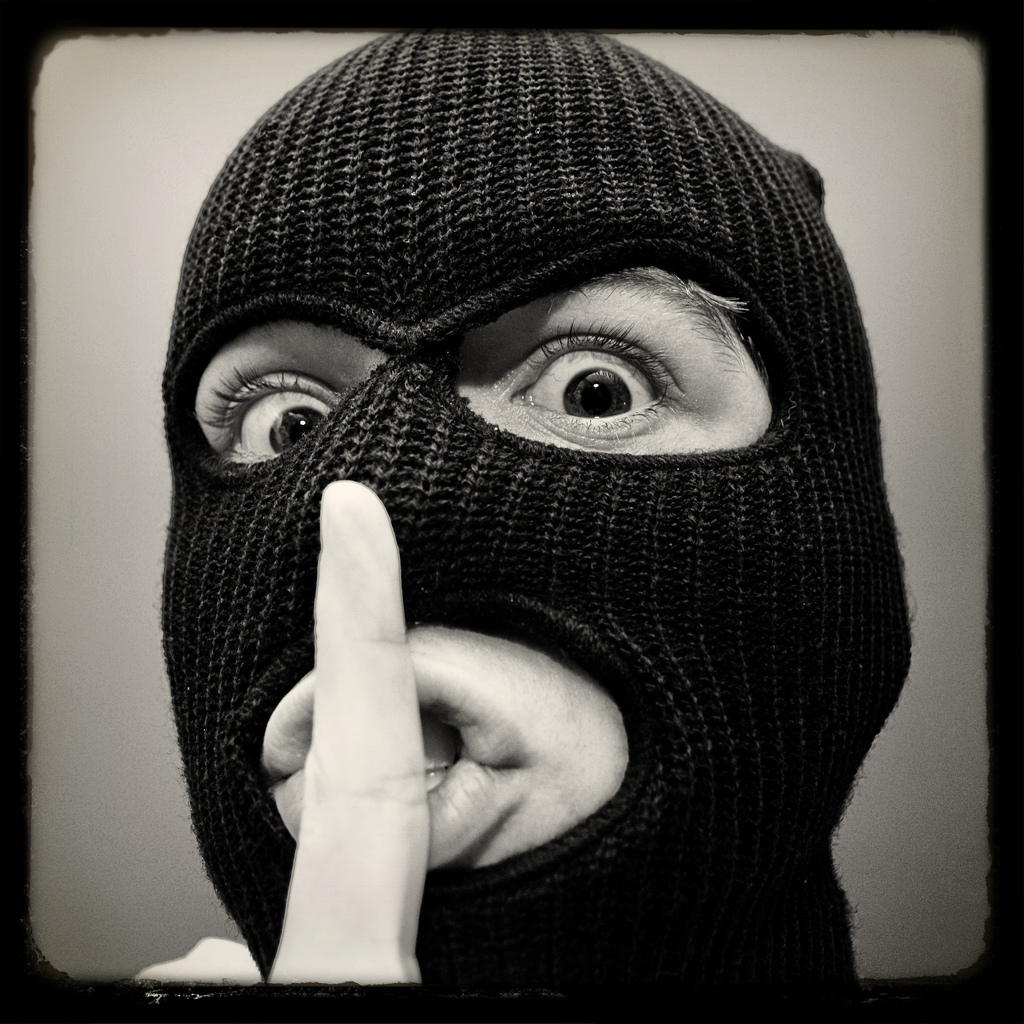 Burglar Insider Secret